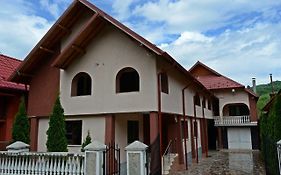 Vila Domneasca